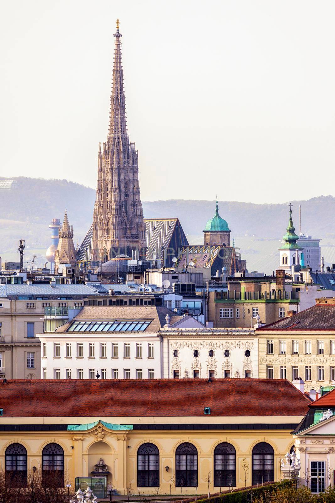 Vienna panorama with St. Stephen's Cathedral by benkrut