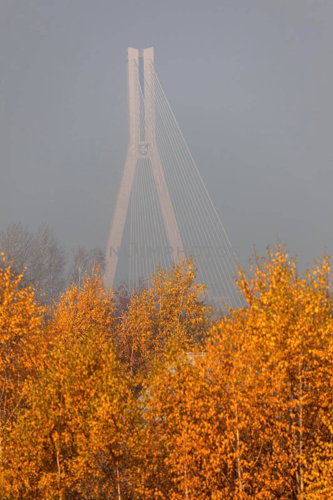 Tadeusz Mazowiecki Bridge in Rzeszow. Rzeszow, Podkarpackie, Poland.