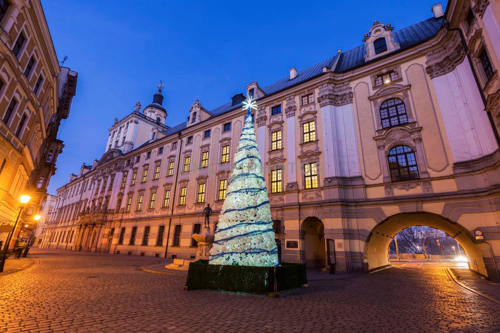 Christmas tree by University of Wrocław at night. Wroclaw, Lower Silesian, Poland.