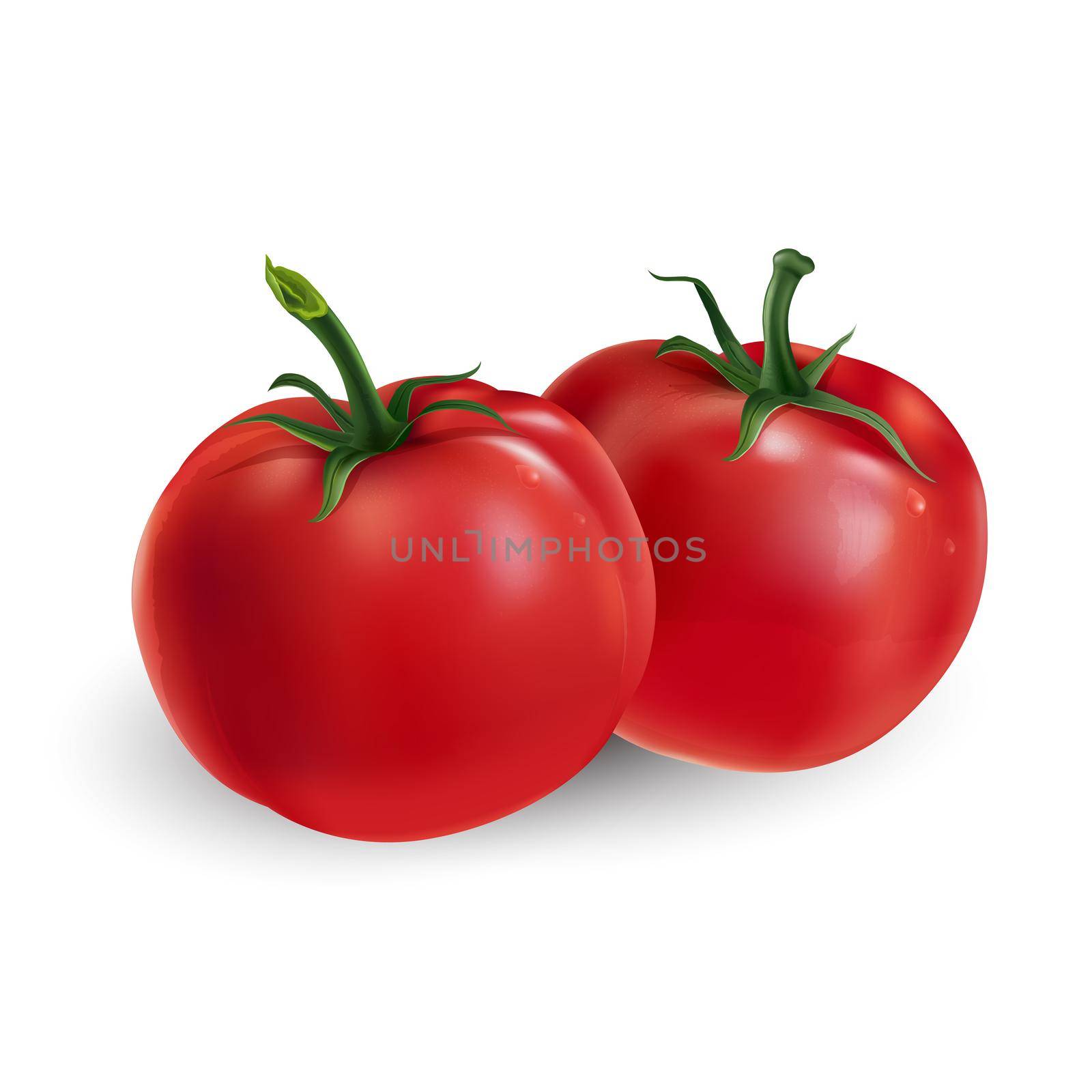 Two red tomatoes on a white background. by ConceptCafe
