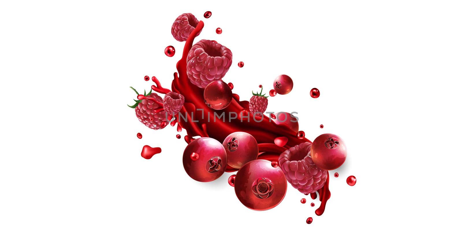 Cranberries and raspberries and a splash of red fruit juice on a white background. Realistic style illustration.
