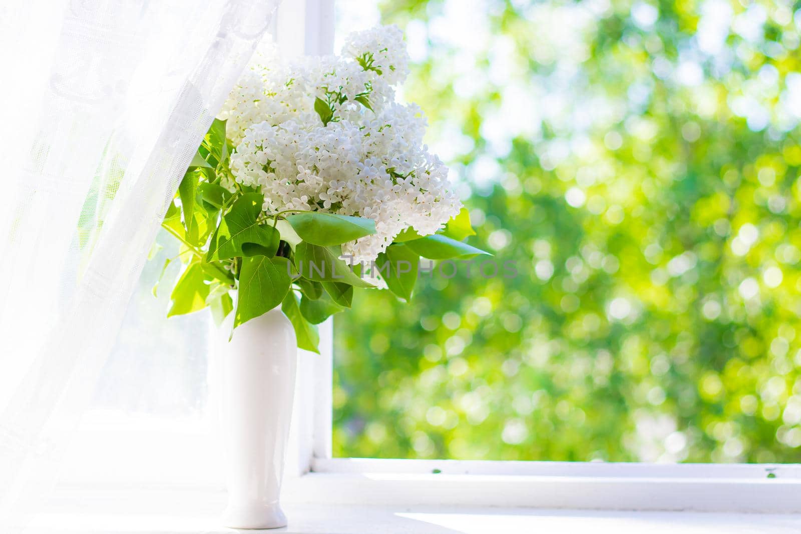 A bouquet of white lilac in a vase . Spring flowers .Smell. Flowers in a vase. Copy space