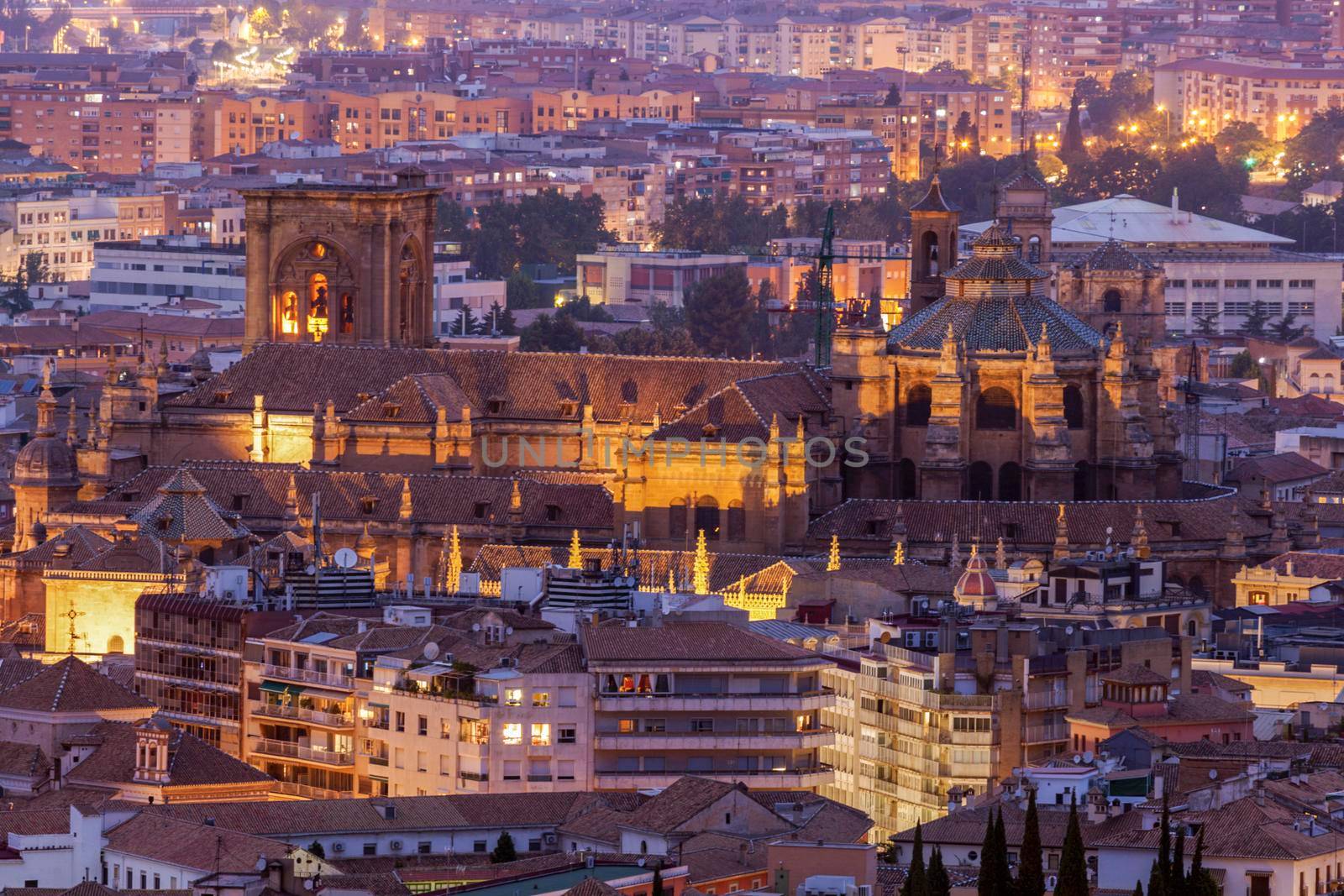 Cathedral of the Incarnation in Granada. Granada, Andalusia, Spain.
