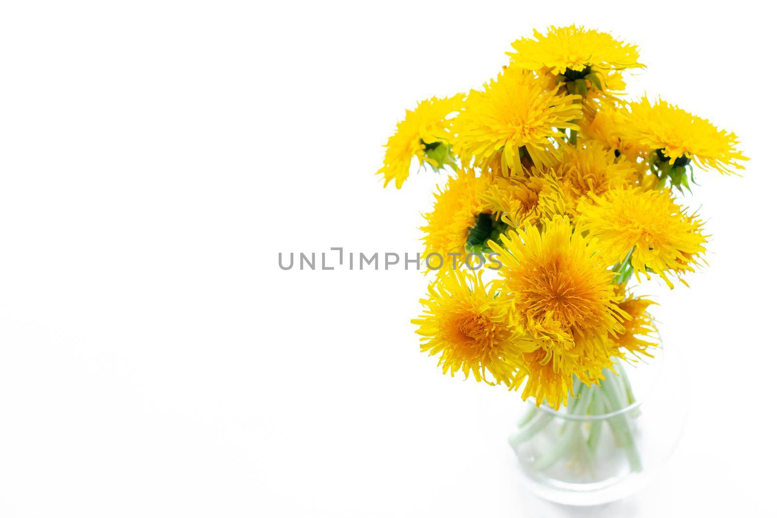 Bouquet of yellow dandelions in a vase on a white background. Bright yellow flowers. Room decoration. Flowers on a white background. Dandelions
