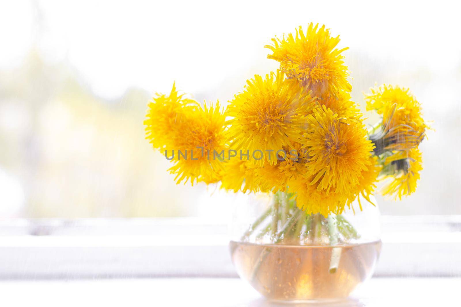 Bouquet of yellow dandelions in a vase on the window. Bright yellow flowers. Room decoration. Flowers on the windowsill. Dandelions
