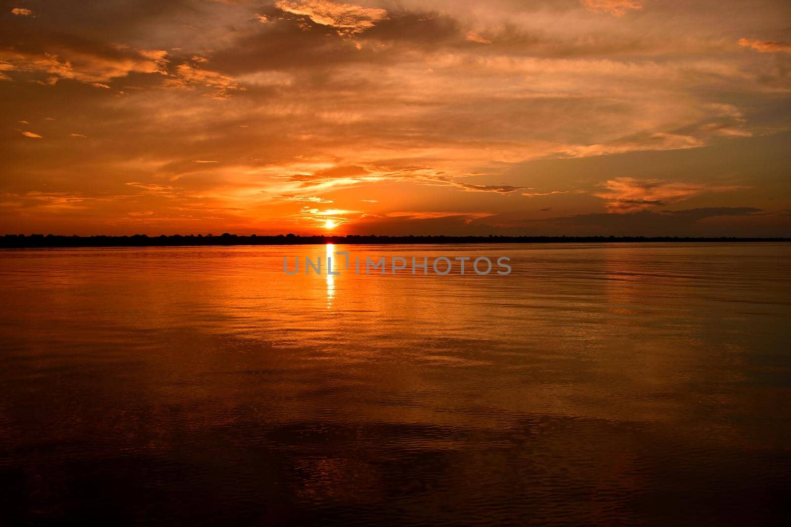 Rio Negro waters and the jungle at sunset, Amazon, Brazil.