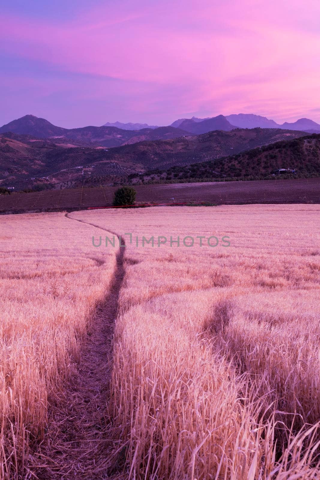 Andalusia panorama at sunset by benkrut