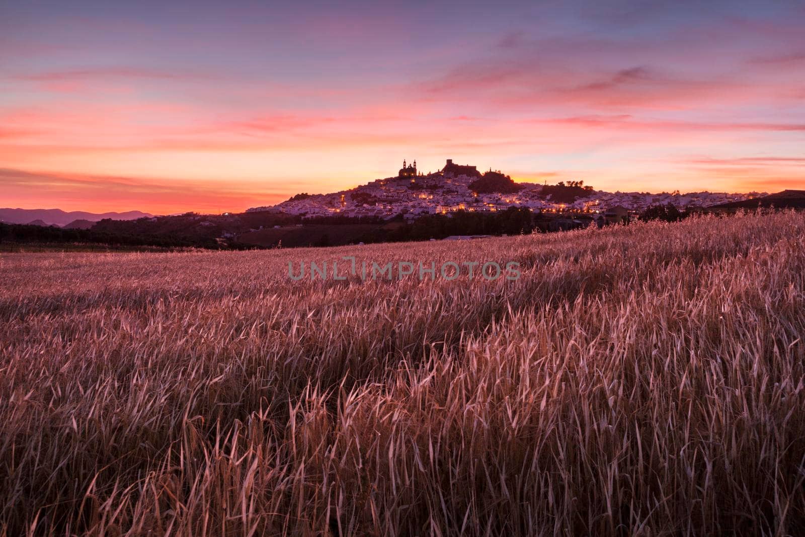 Olvera panorama at sunset. Olvera, Andalusia, Spain.