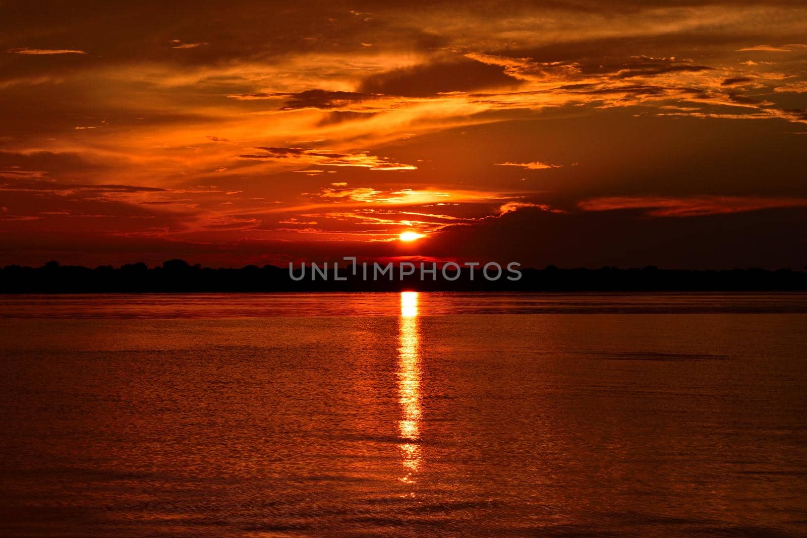 Rio Negro waters and the jungle at sunset, Amazon, Brazil.