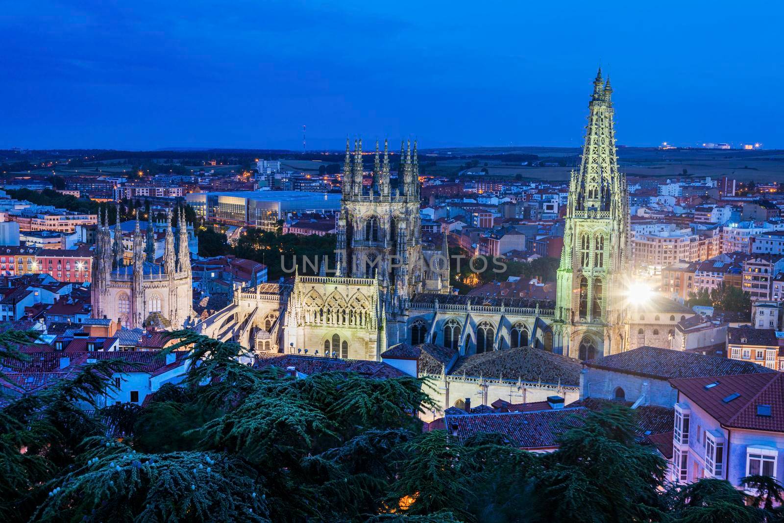 Burgos Cathedral at night. Burgos, Castile and Leon, Spain.