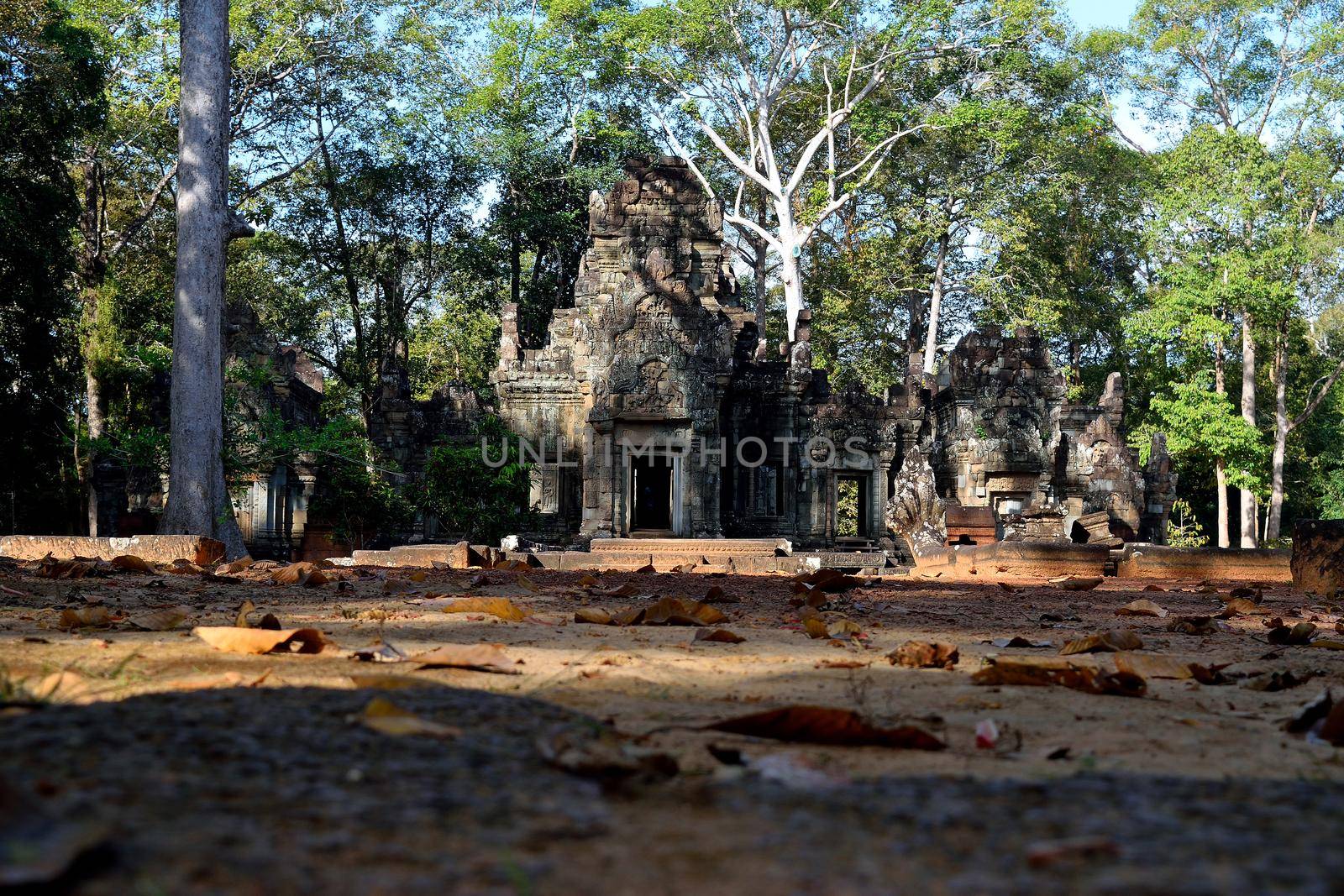 Temple in the Angkor complex, Cambodia.