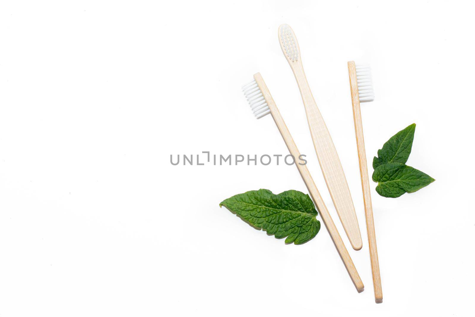 Bamboo toothbrush and green leaves on an isolated background. Tooth cleaning. Article about choosing a toothbrush. Article about dental care. Bath accessories. Collection on vacation. Natural material. Eco-products. No plastic surgery. Concern for the environment. Copy space.