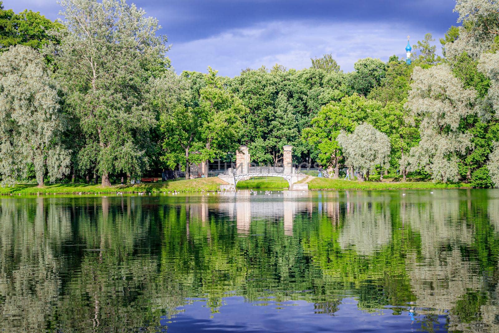 Mirror image in the Park by the water with the bridge . Summer Park. The lake in the Park. City park. Beautiful summer landscape. nature of Russia . The reflection in the water