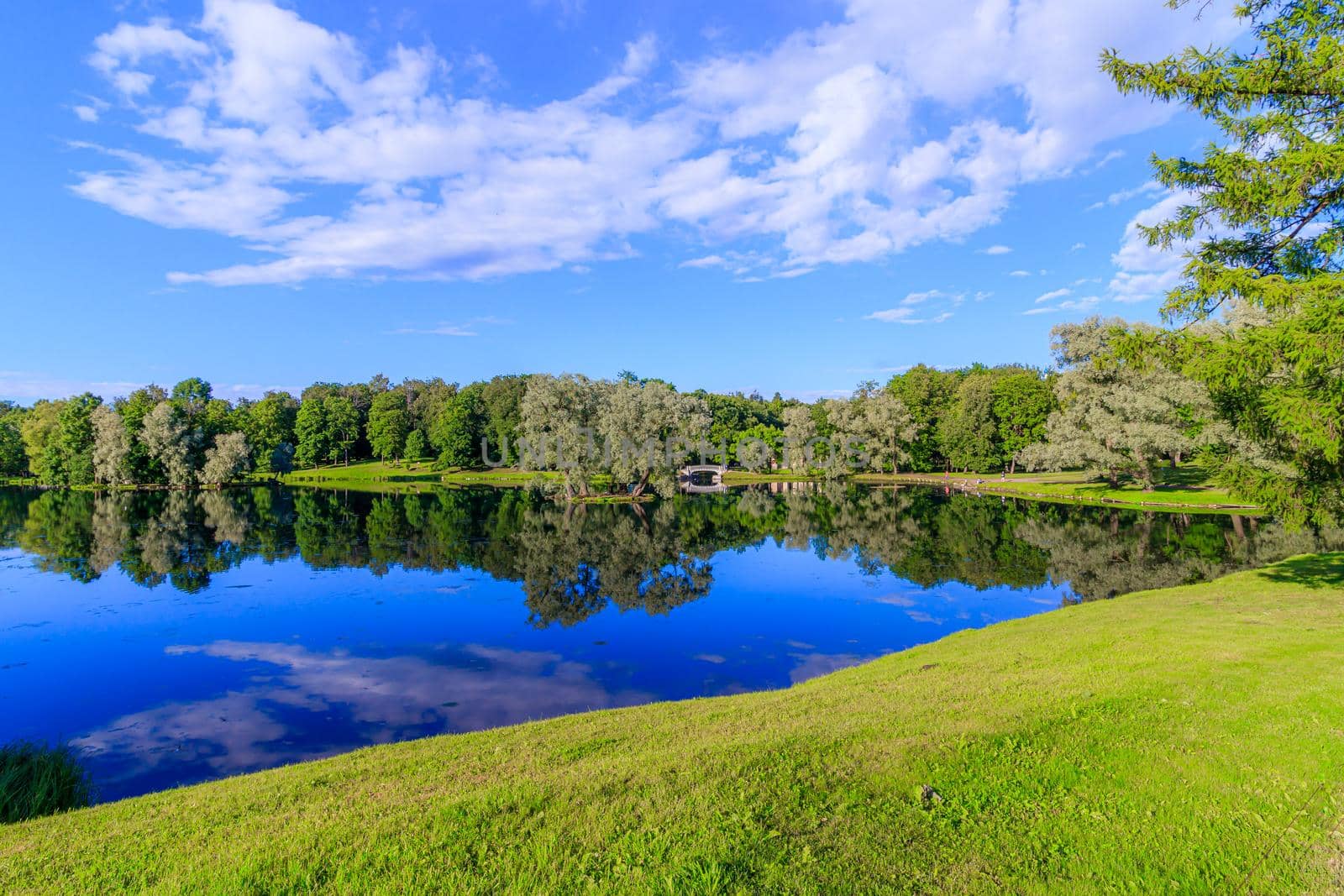 Summer evening in the Park with a lake. Summer landscape. nature of Russia. Well-maintained Park. Evening smoothness. The reflection in the water. Photo concept for printed products and puzzles