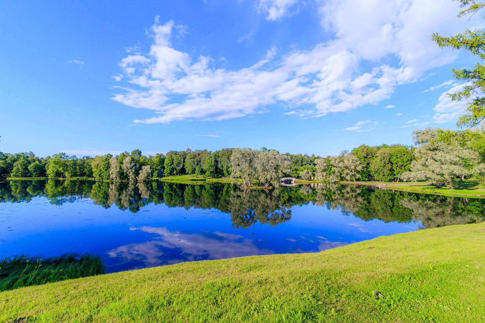 Summer evening in the Park with a lake. Summer landscape. nature of Russia. Well-maintained Park. Evening smoothness. The reflection in the water. Photo concept for printed products and puzzles