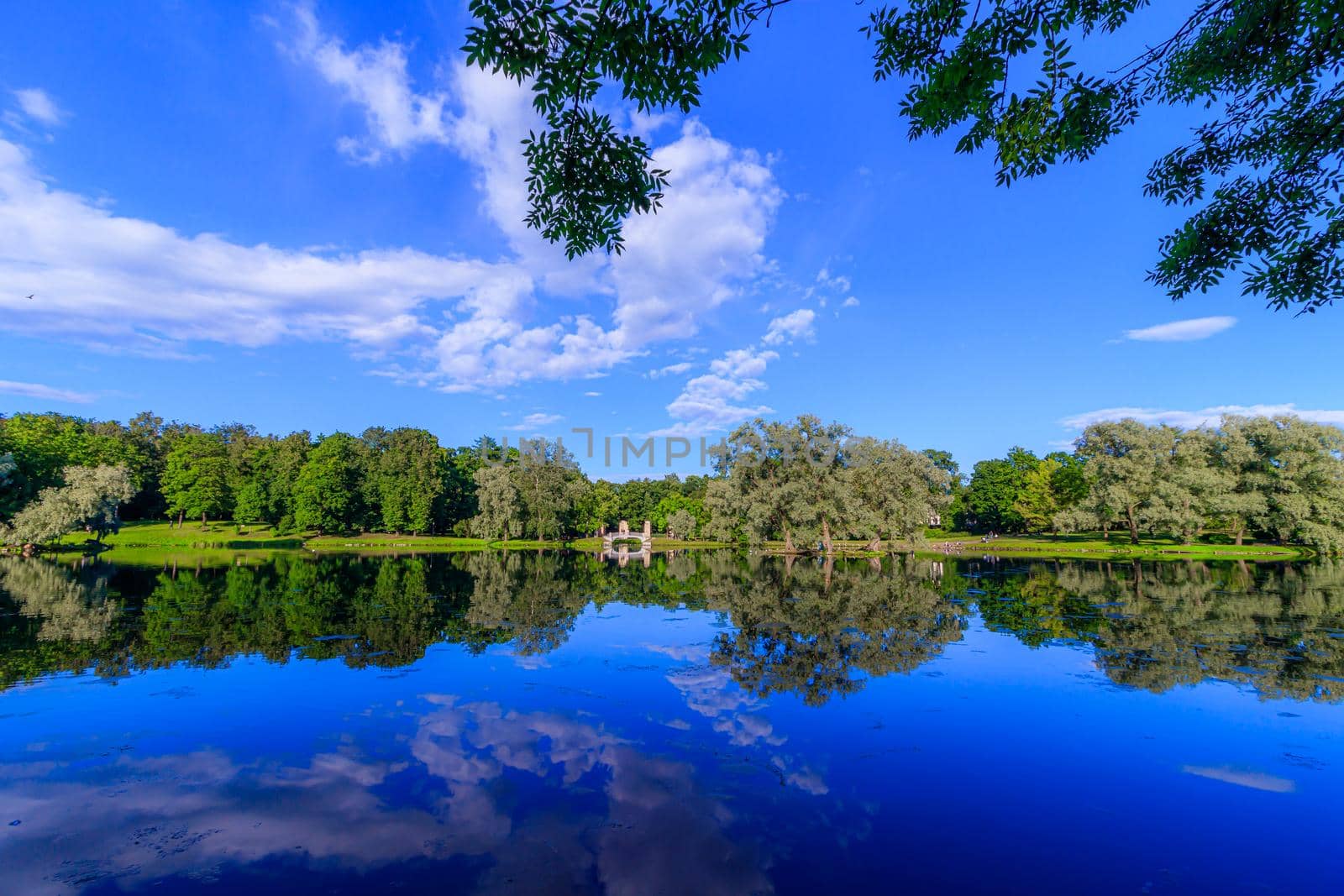 Summer evening in the Park with a lake. Summer landscape. nature of Russia. Well-maintained Park. Evening smoothness. The reflection in the water. Photo concept for printed products and puzzles