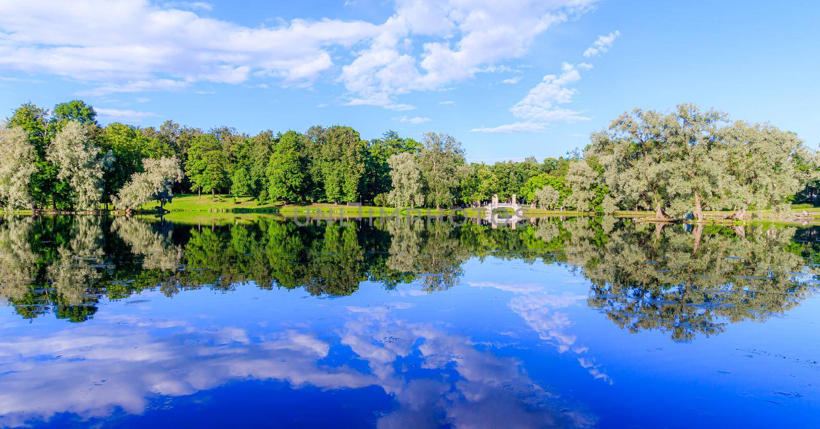 Panorama of summer Park . Summer Park. The lake in the Park. City park. Beautiful summer landscape. nature of Russia . The reflection in the water