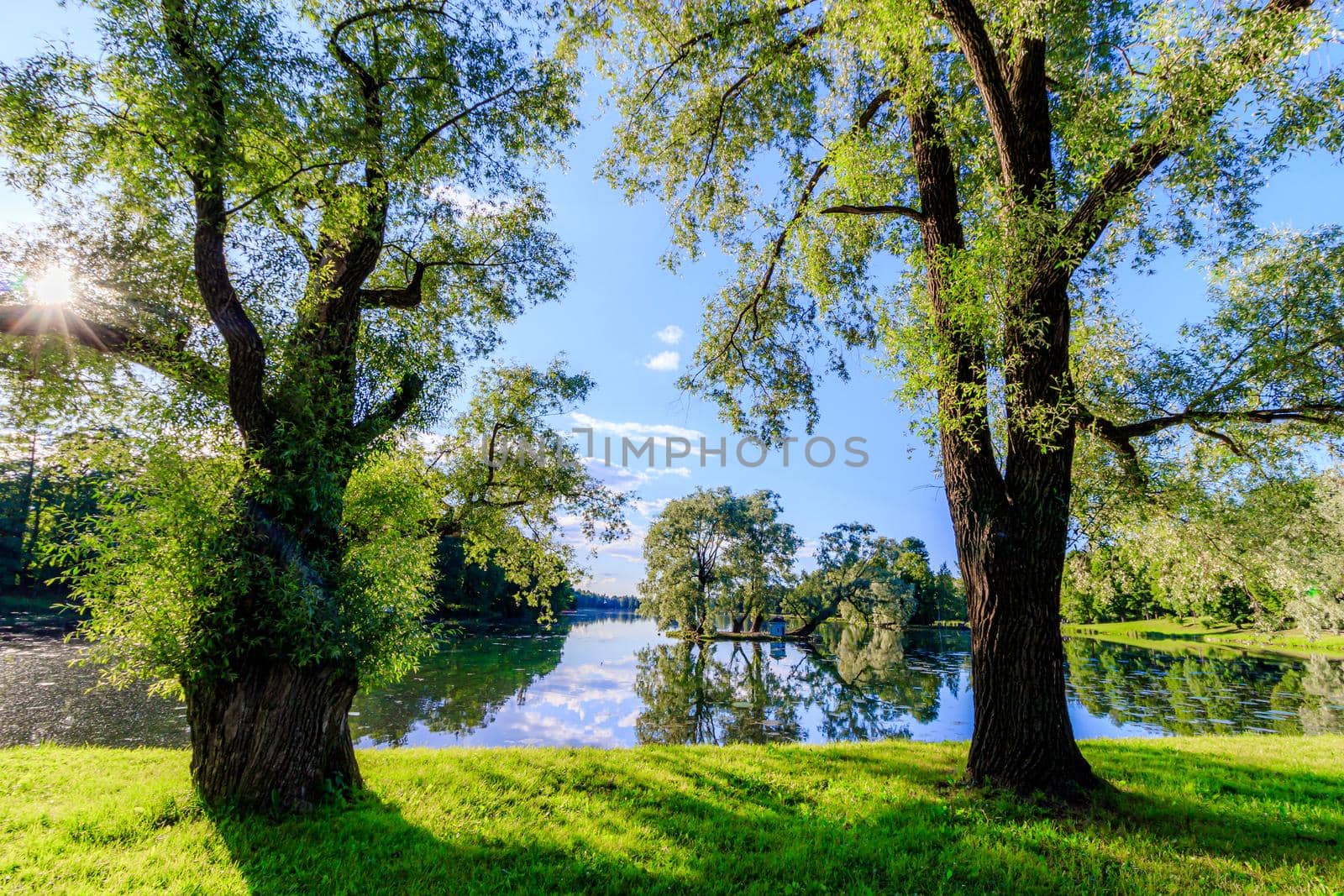Summer evening in the Park with a lake. Summer landscape. nature of Russia. Well-maintained Park. Evening smoothness. The reflection in the water. Photo concept for printed products and puzzles