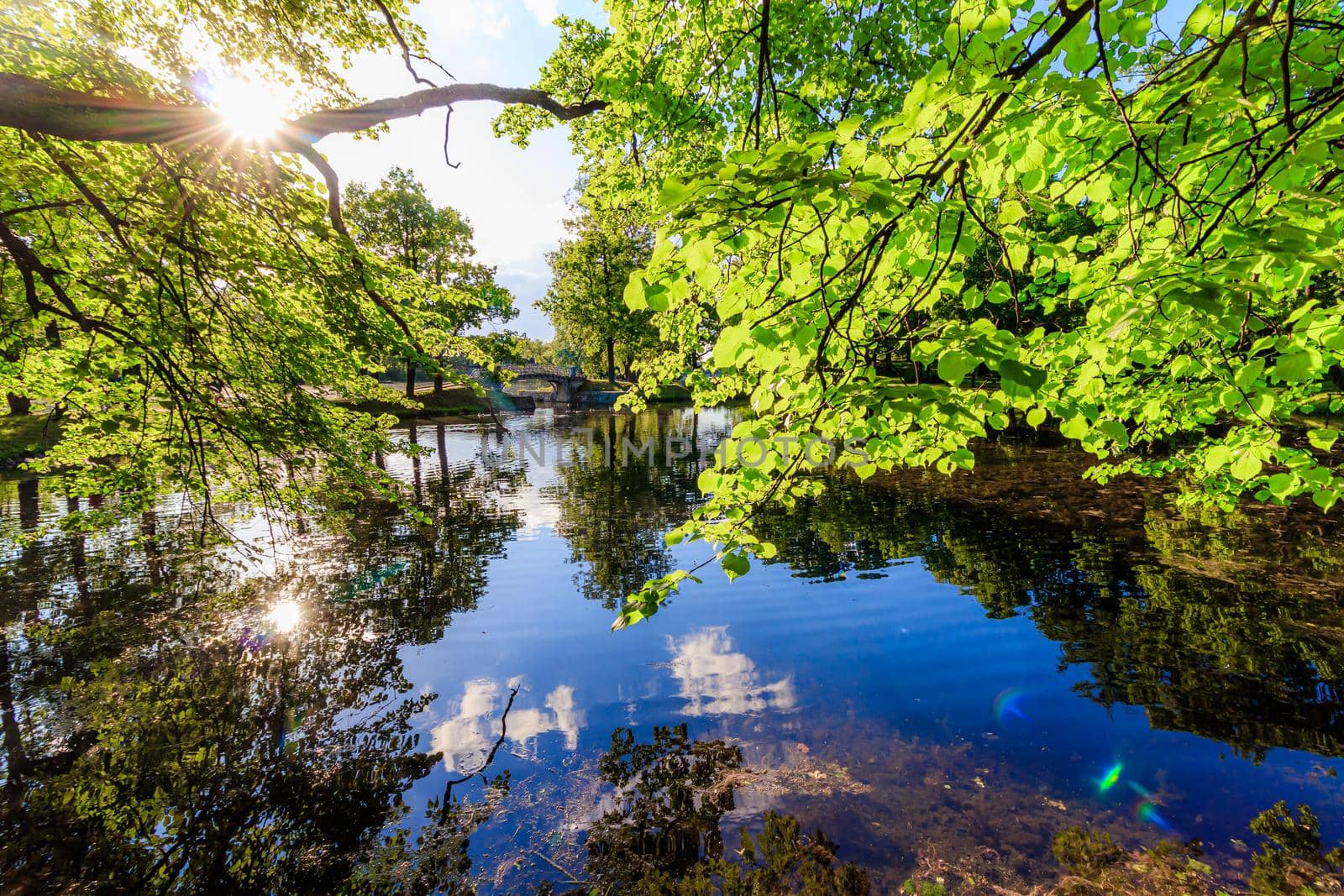 Summer evening in the Park with a lake. Summer landscape. nature of Russia. Well-maintained Park. Evening smoothness. The reflection in the water. Photo concept for printed products and puzzles