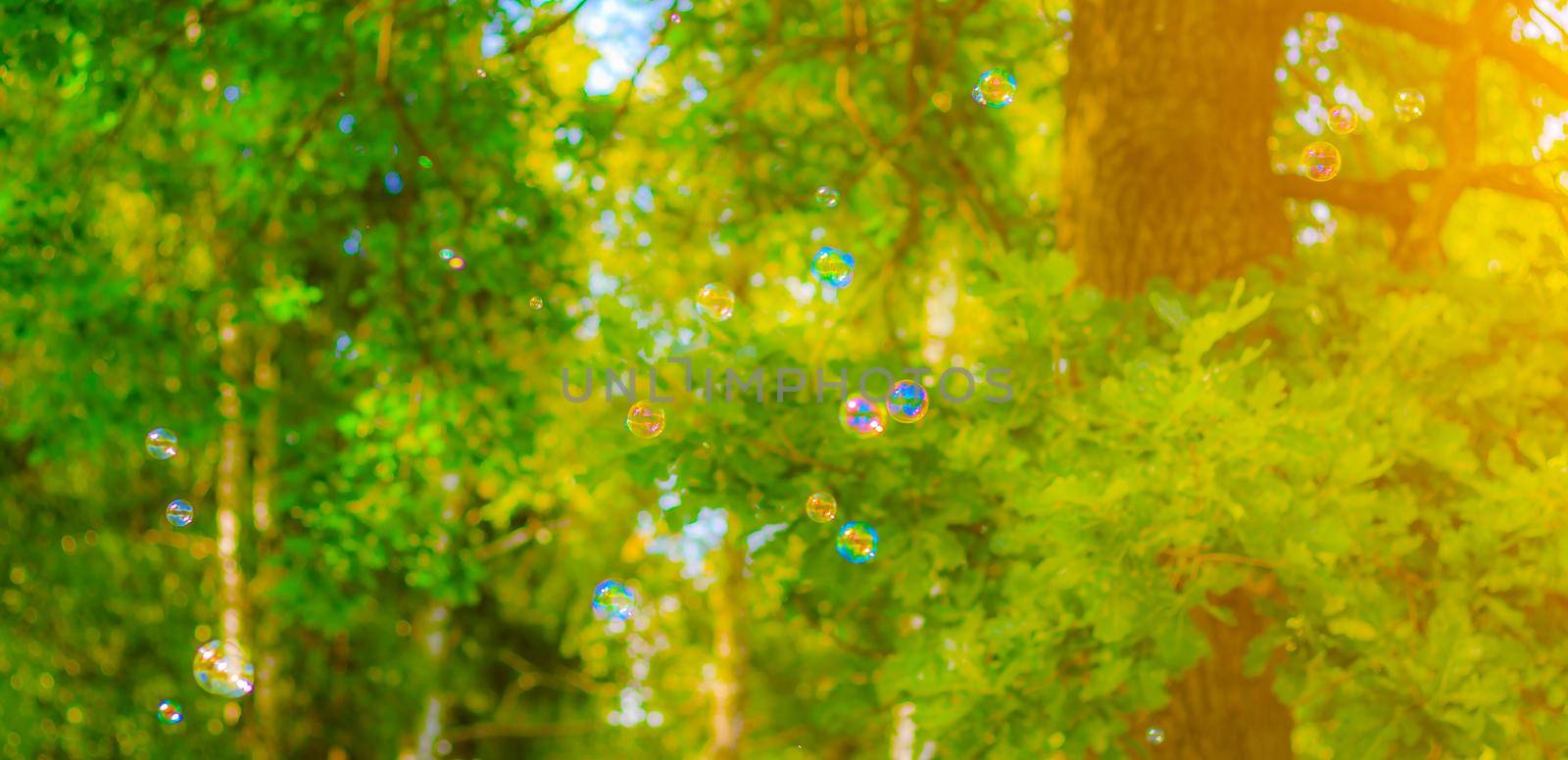 Background soap bubbles on the background of trees . Beautiful color background. Copy space. The concept of a children's holiday and a happy childhood. Bright background concept . Bubbles