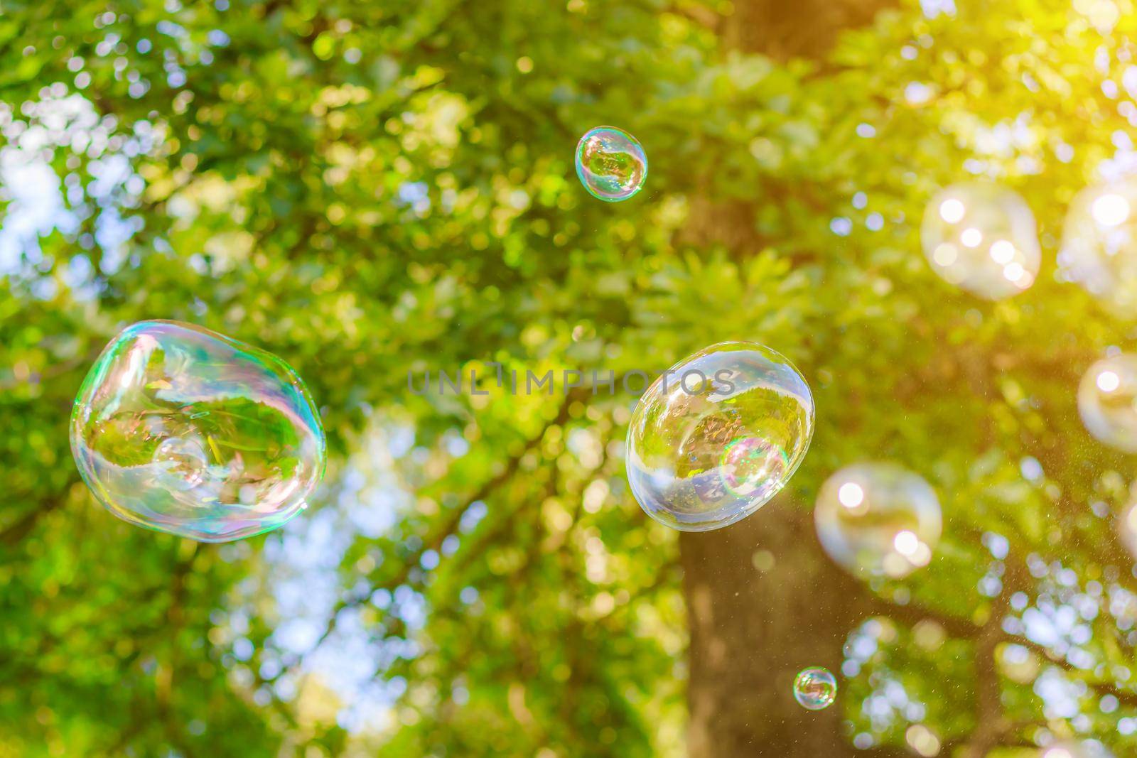 Background soap bubbles on the background of trees . Beautiful color background. Copy space. The concept of a children's holiday and a happy childhood. Bright background concept . Bubbles