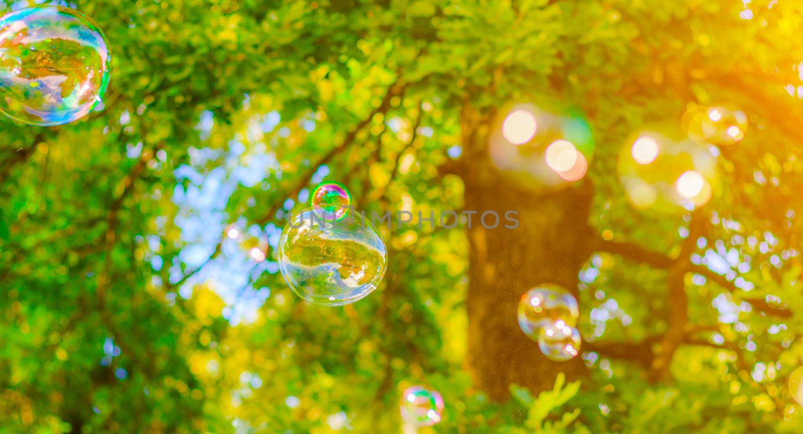 Background soap bubbles on the background of trees . Beautiful color background. Copy space. The concept of a children's holiday and a happy childhood. Bright background concept . Bubbles