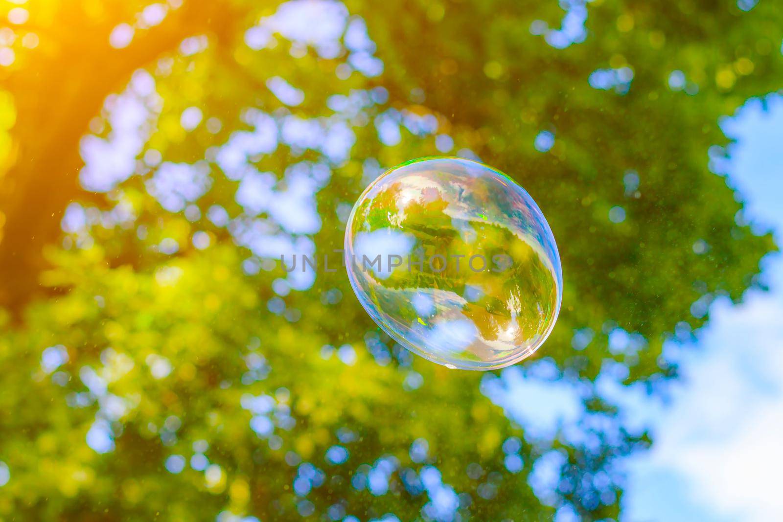 Background soap bubbles on the background of trees . Beautiful color background. Copy space. The concept of a children's holiday and a happy childhood. Bright background concept . Bubbles