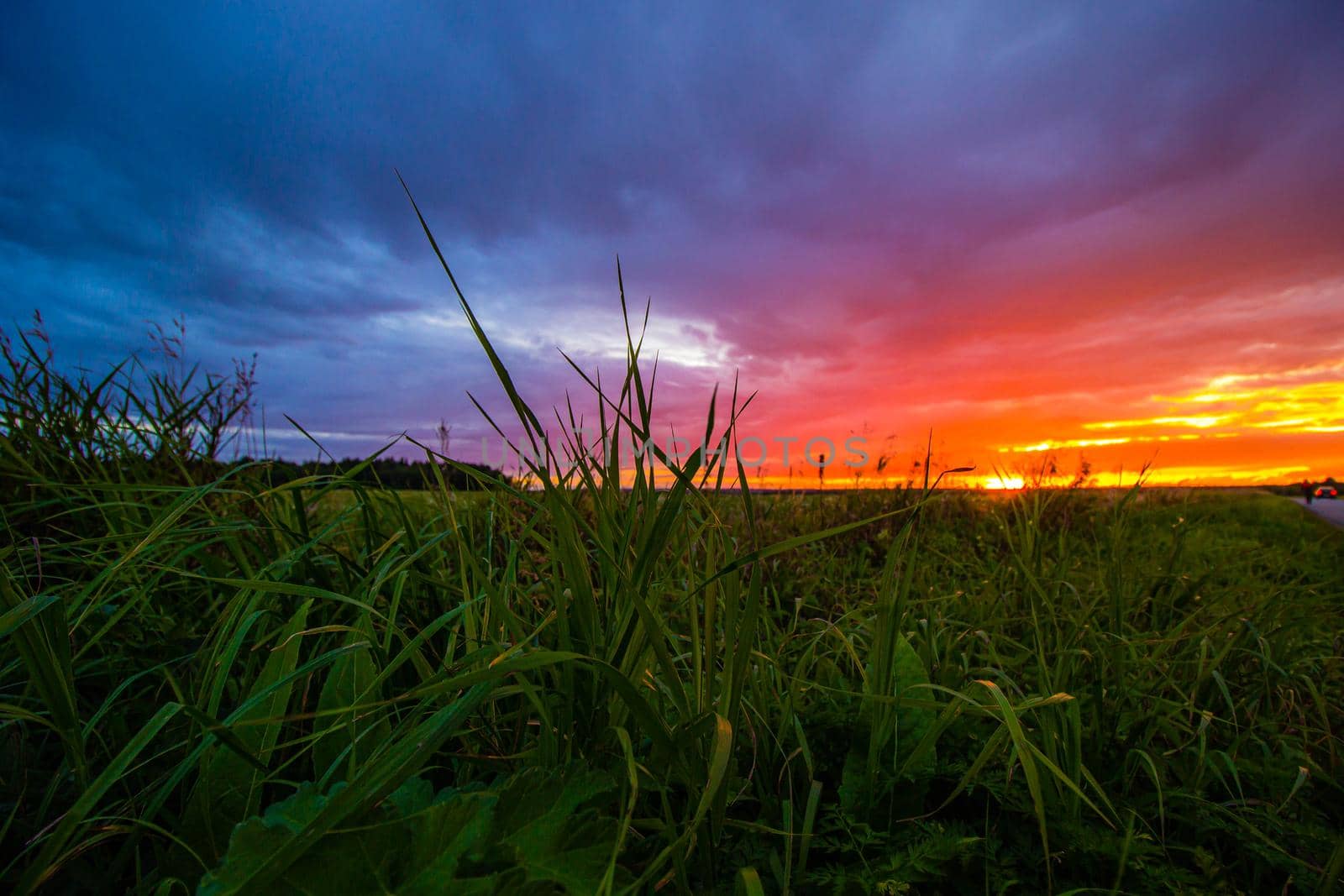 Sunset in the field during the rain . Summer landscape. A pink sunset. Evening light. Landscape. Nature. The sun is setting.