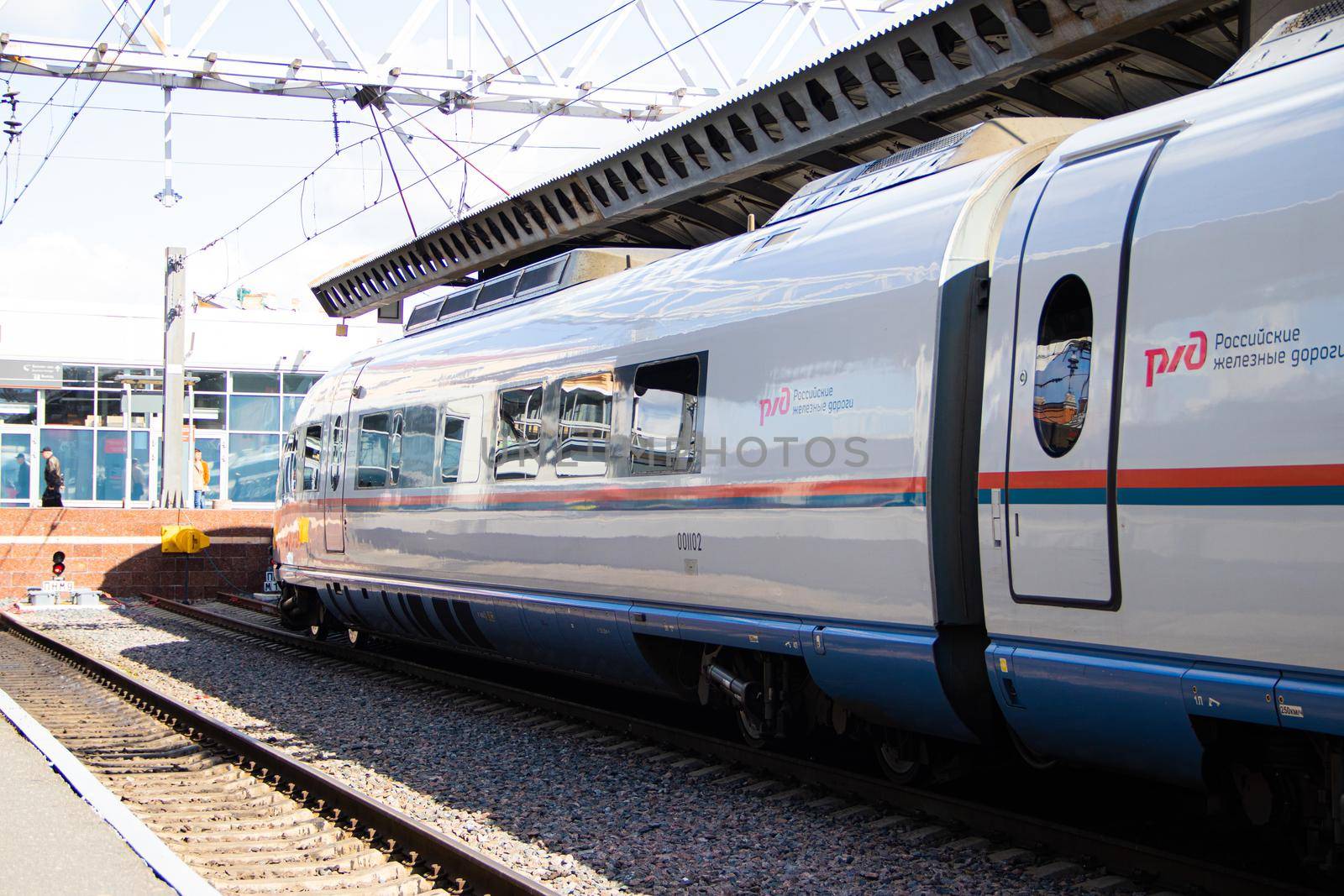 Peregrines at the station . Passenger transport. Speed train. Article about the peregrine Falcon schedule. Saint Petersburg - Moscow. Russia, Saint Petersburg 30 July 2020