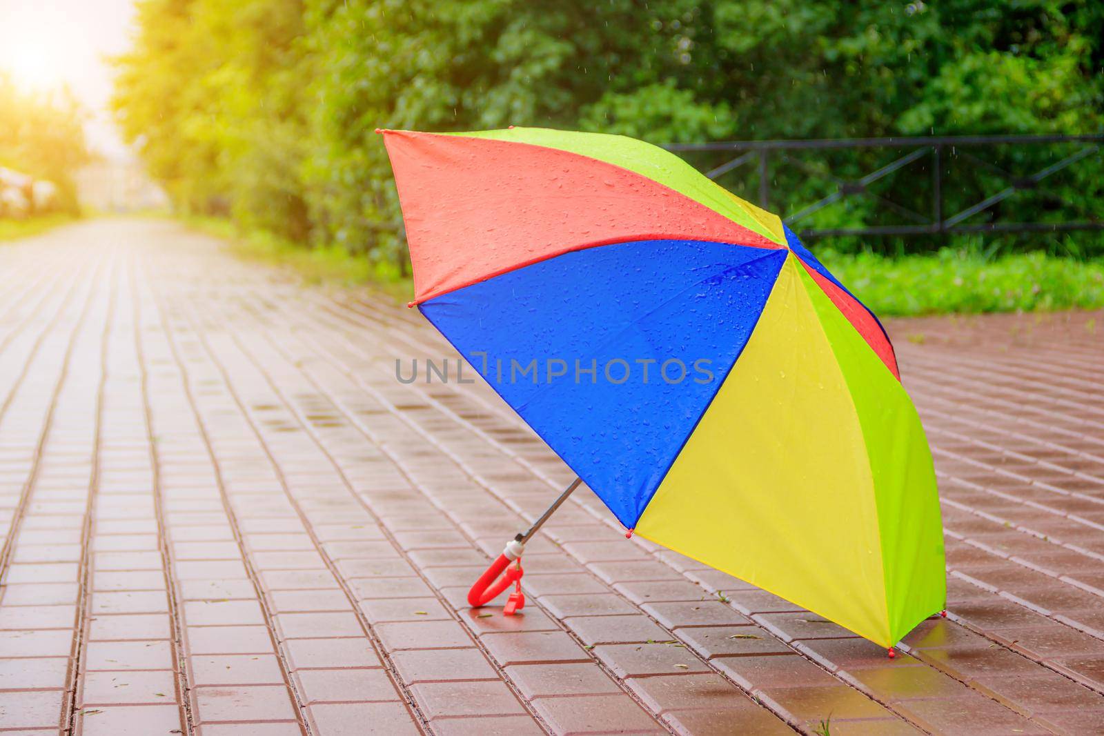 An open colored umbrella stands on the asphalt. Summer rain. Article about choosing an umbrella. Children's bright umbrella. Hide from the rain. Copy space
