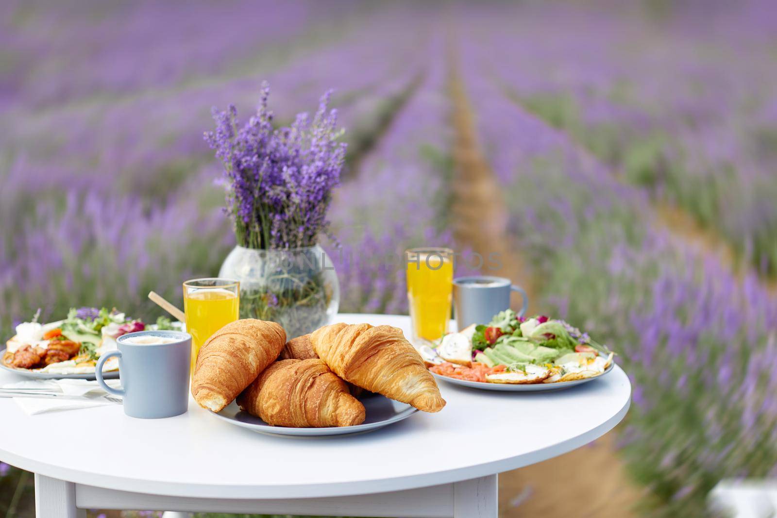White wooden table served with croissants, glasses of orange juice, honey jar and fresh appetizers for date and vase with lavender bouquet. Side view of decoration, lavender patches on backgound.