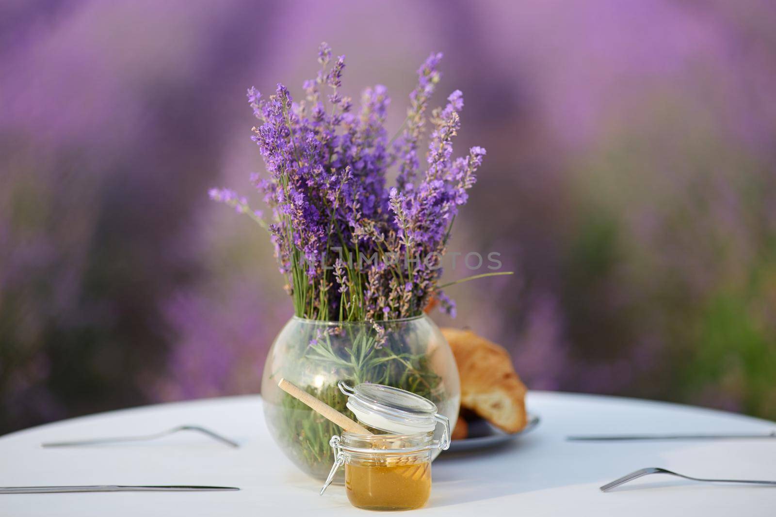 White wooden table decorated with fresh delicious croissants, honey jar with wooden spoon and glass vase with lavender bouquet. Beautiful decoration in lavender field full of blooming purple flowers.