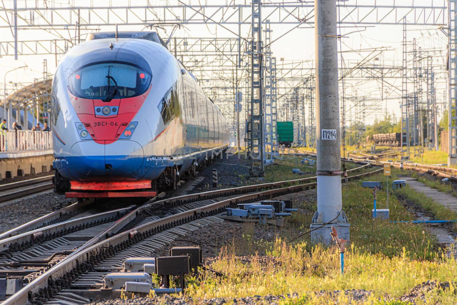 Peregrine Falcon stop . Speed train. The Route Moscow - Saint-Petersburg. the transportation of passengers. Transport. Russian railway. Train ticket. Travel around the country. Trip to the capital. Prices for railway tickets. Russia, Novgorod region, Chudovo, August 17, 2020