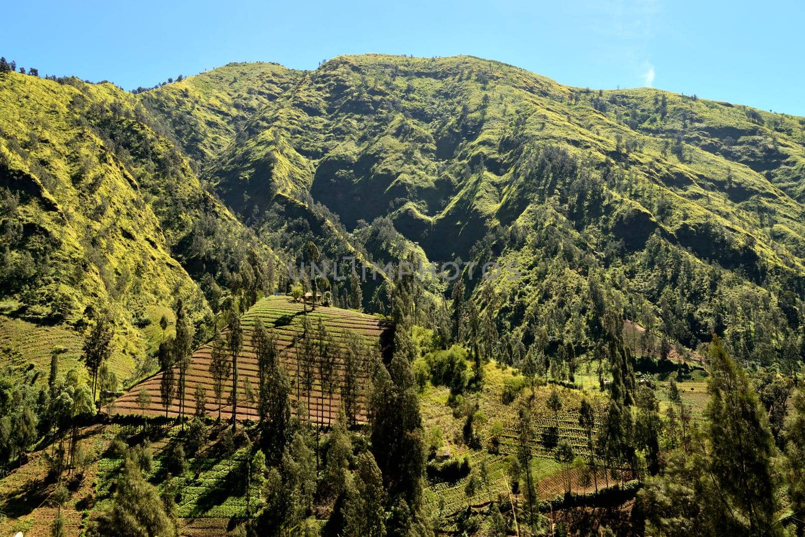 View of the indonesian mountain around the Ijen caldera, Indonesia