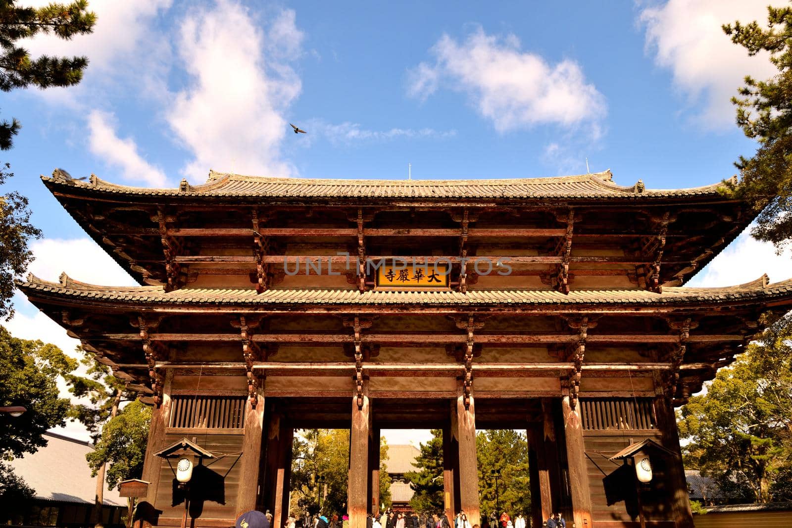 Closeup the Nandaimon gate inside the Todai Ji area by silentstock639