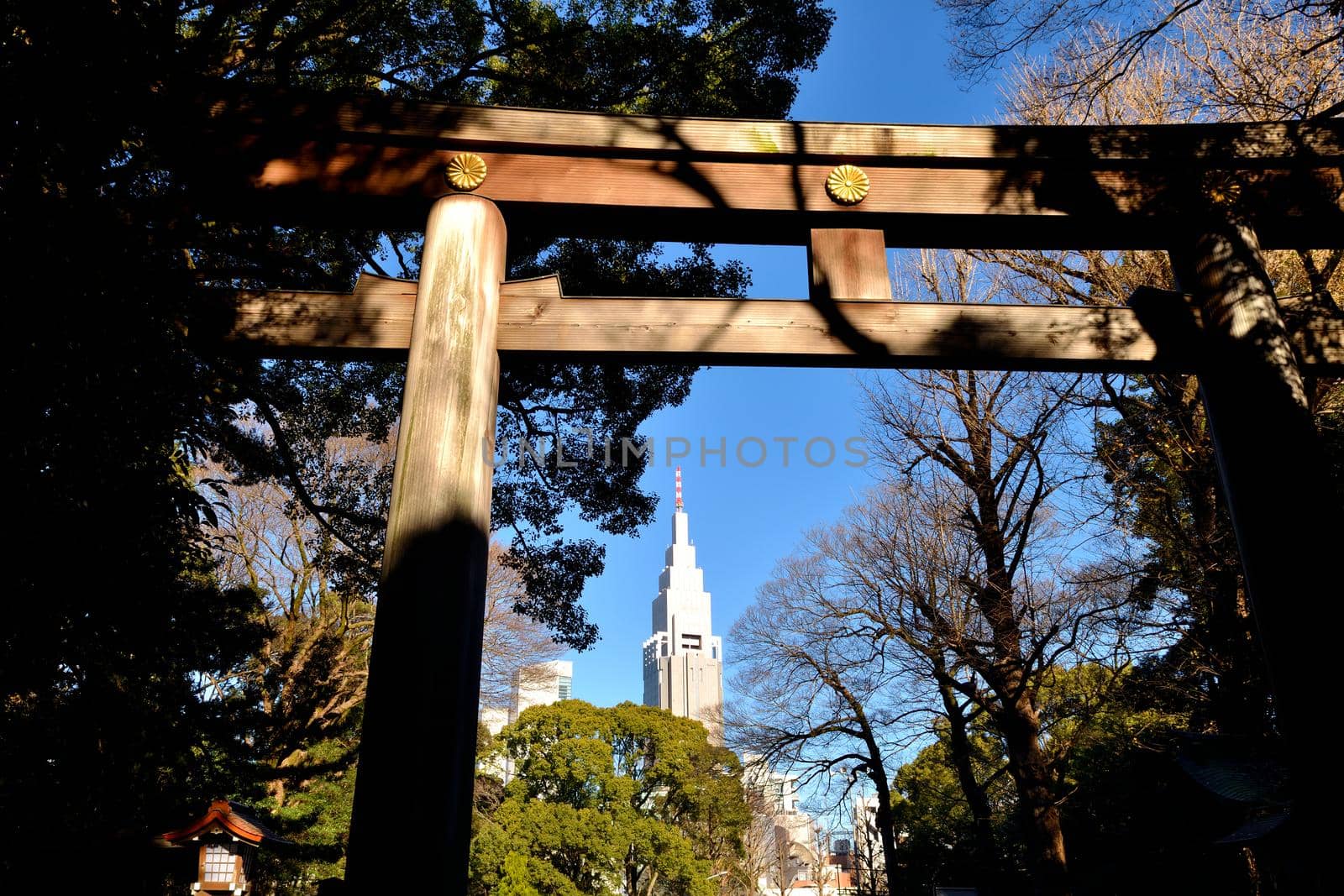 Closeup of one of the huge torii of the Meiji Jingu Shinto temple, Tokyo