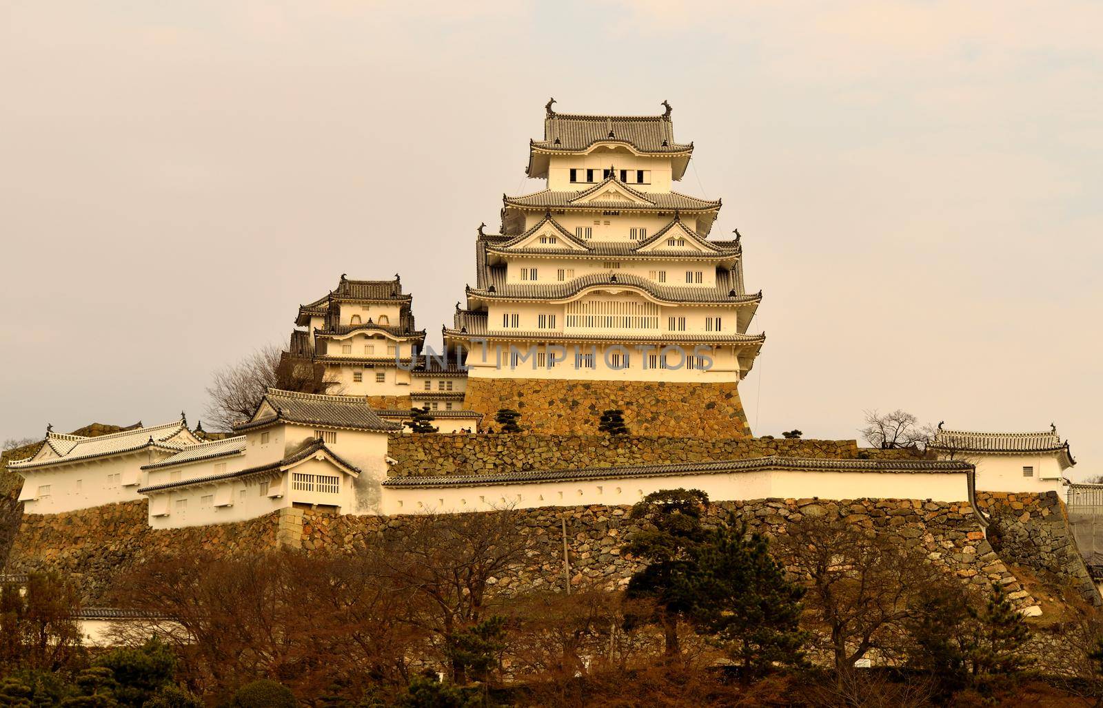 View of the Himeji castle during the winter season by silentstock639