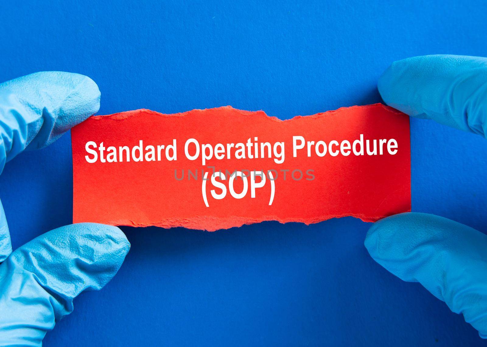 Doctor hand in blue glove with word Standard Operating Procedure (SOP).  Coronavirus Medical Concept.