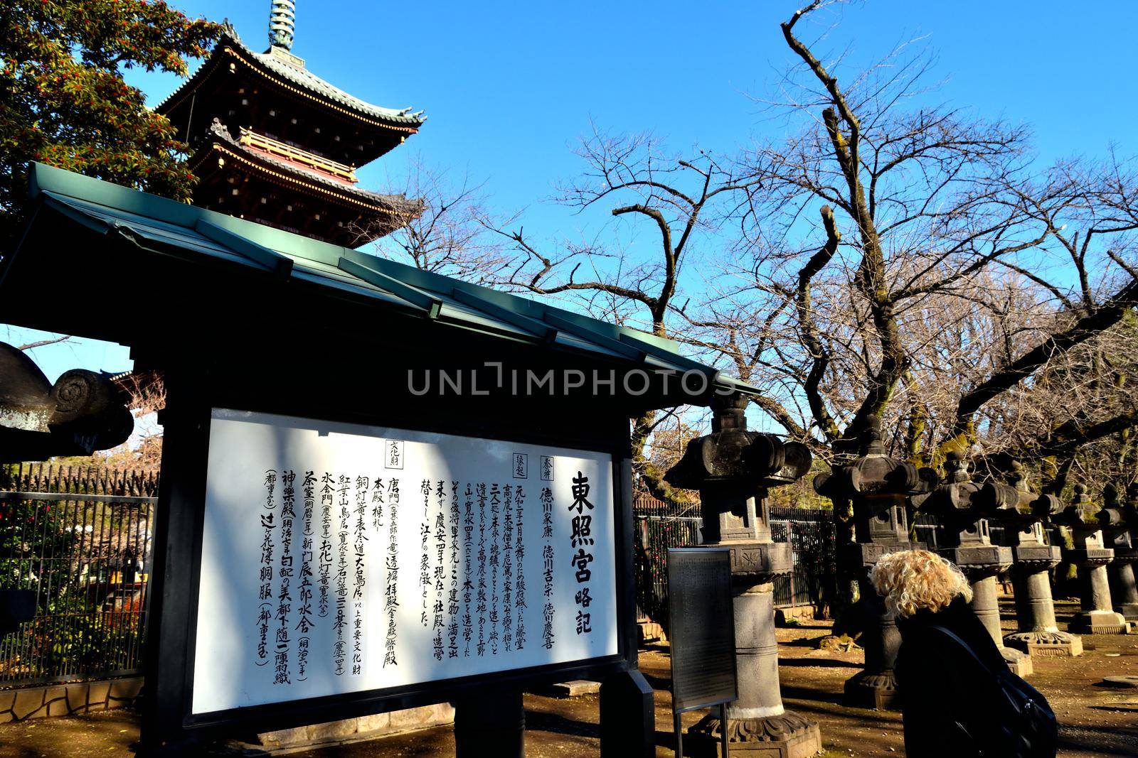 Western girl reading tourist information on Kaneiji pagoda in Ueno park by silentstock639