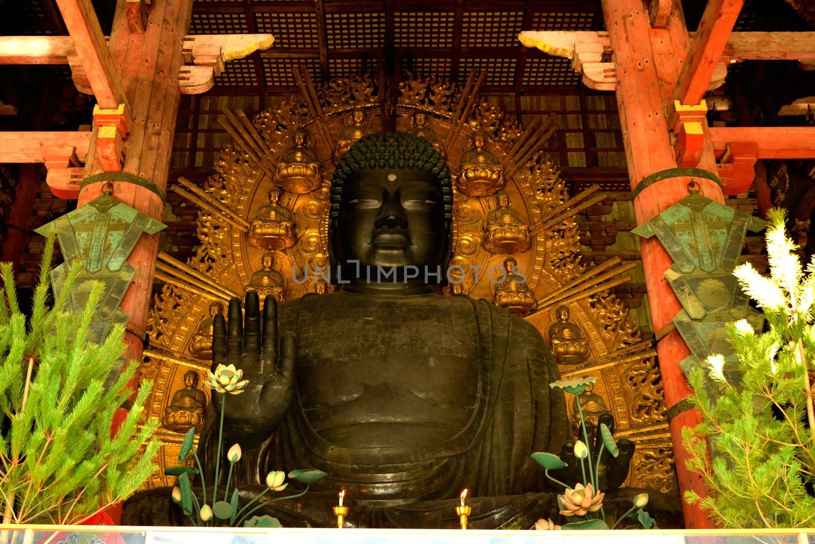 Closeup of the big Buddha statue in the Todai Ji temple by silentstock639