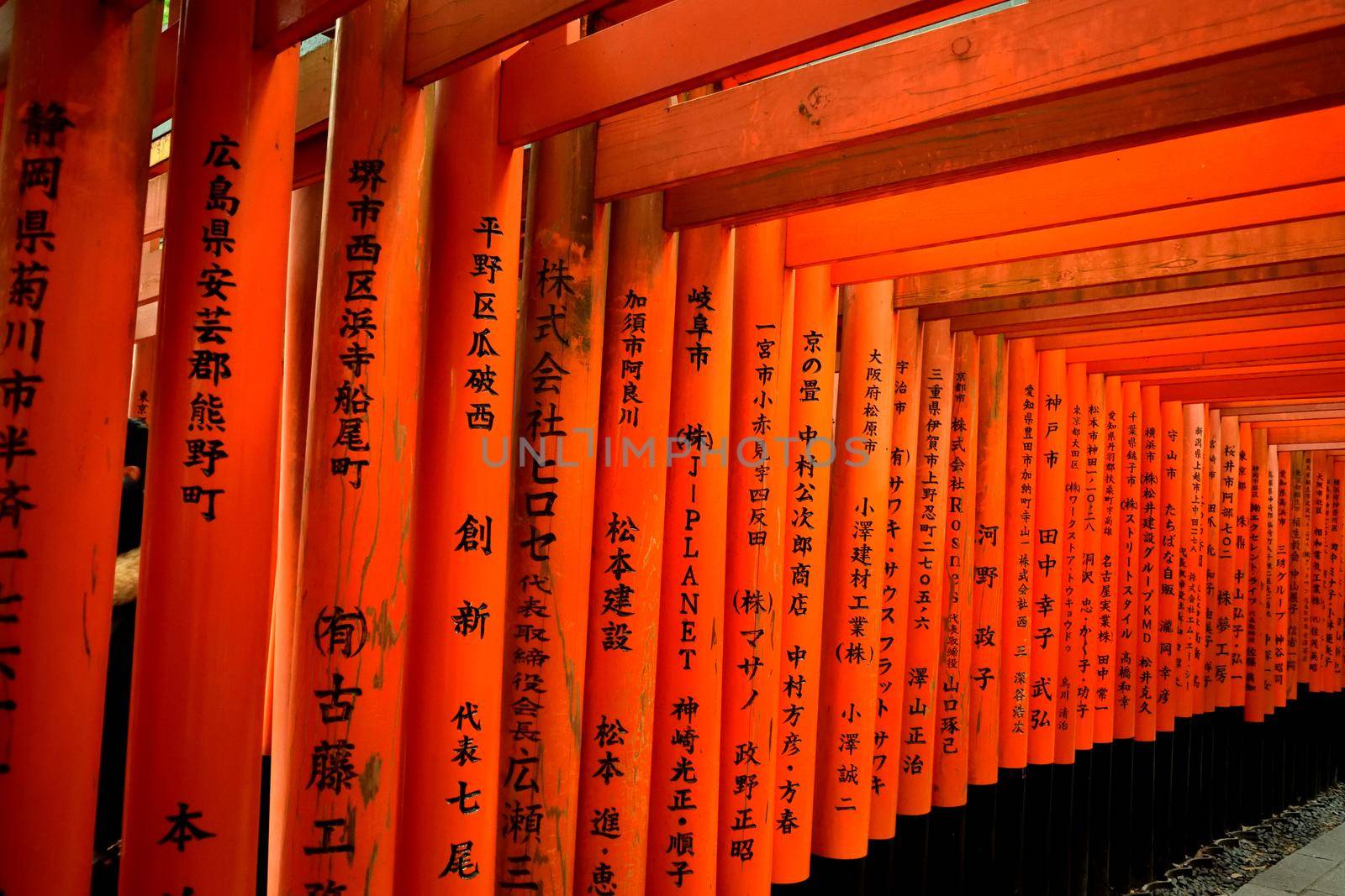 Closeup of the famous torii in the Fushimi Inari shrine, Kyoto