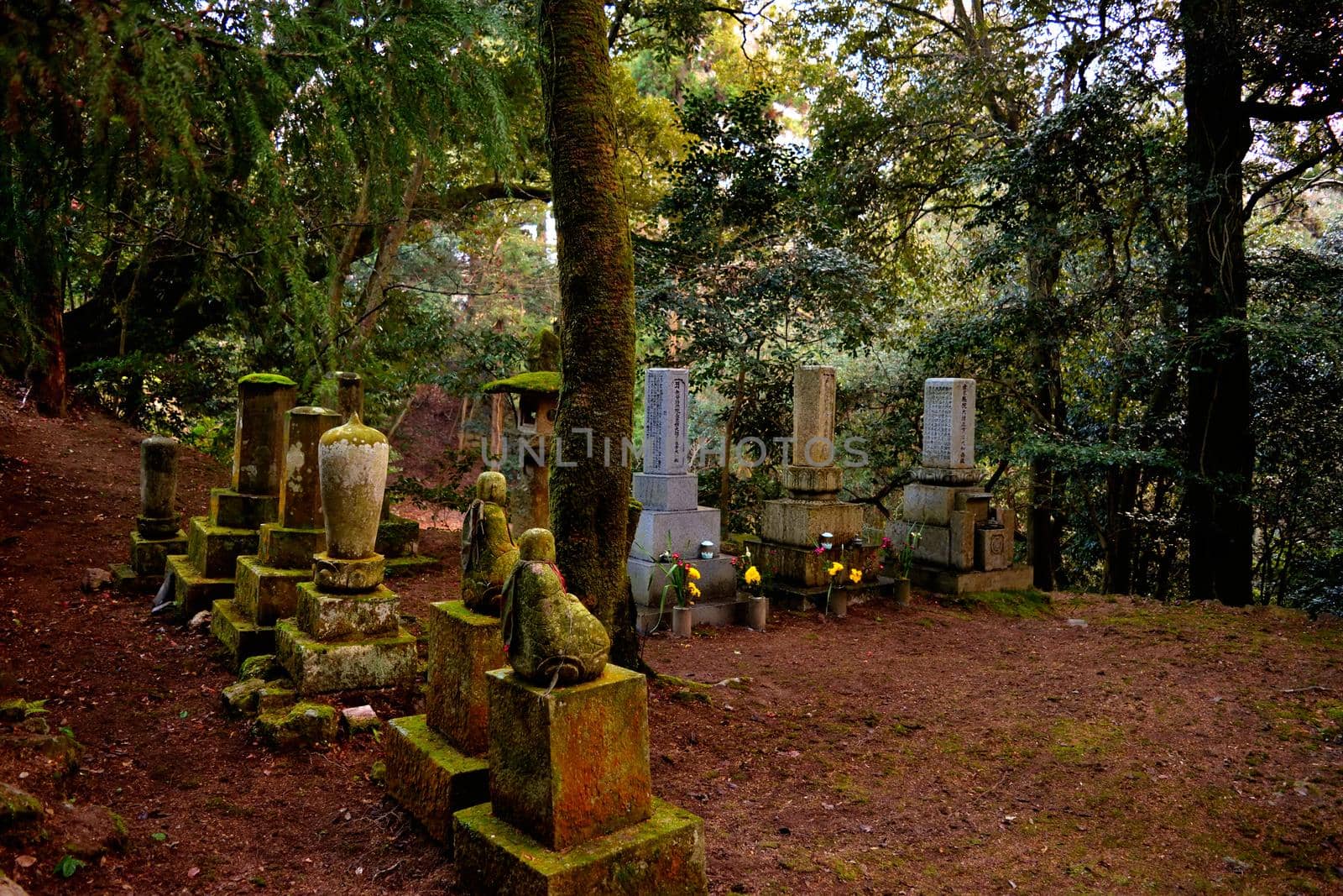 Closeup of a small cemetery in the forest on the mt. Shosha, Himeji