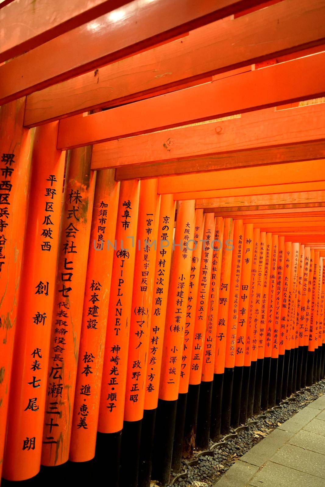 Closeup of the famous torii in the Fushimi Inari shrine, Kyoto