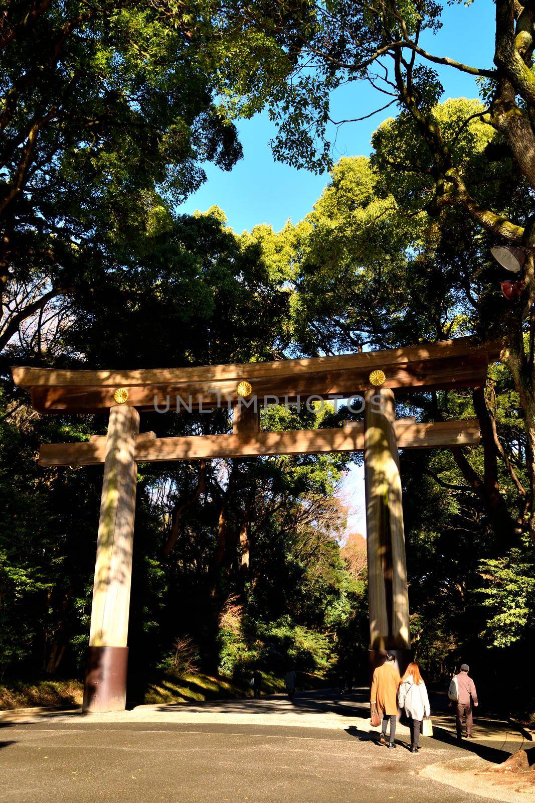 Closeup of one of the huge torii of the Meiji Jingu Shinto temple by silentstock639