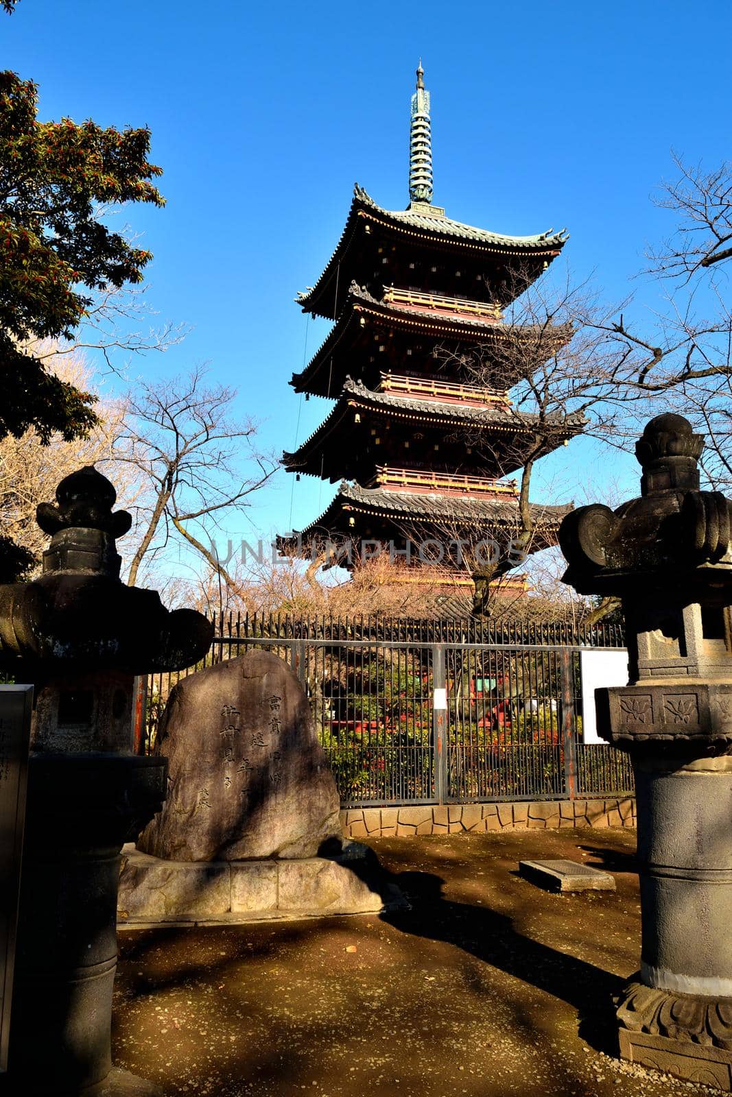 View of the five story pagoda of Kaneiji in the Ueno park by silentstock639