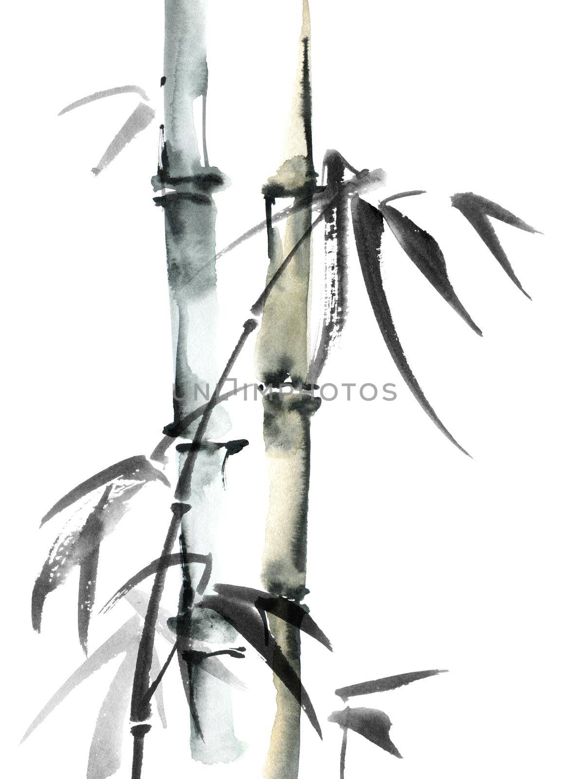 Watercolor illustration of bamboo with leaves on white background. Oriental traditional painting, sumi-e.