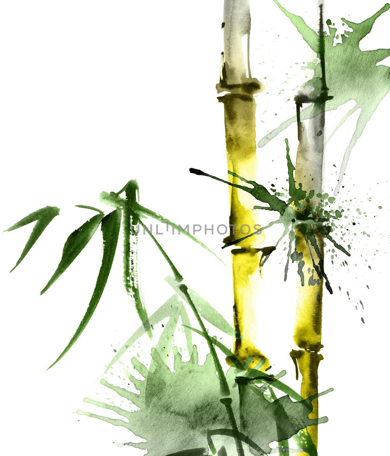 Watercolor illustration of bamboo with leaves and watersplashes on white background. Oriental traditional painting, sumi-e.