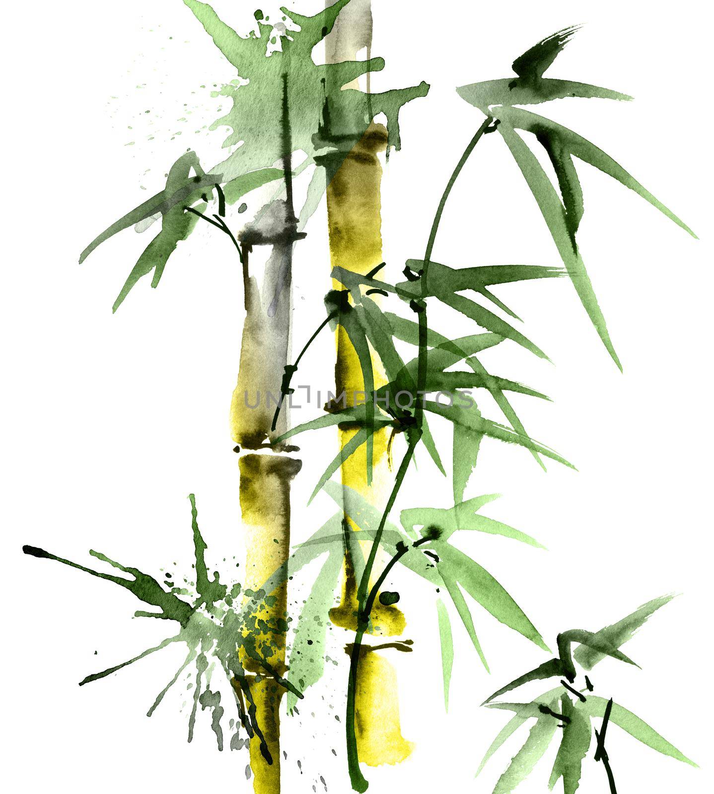 Watercolor illustration of bamboo with leaves and watersplashes on white background. Oriental traditional painting, sumi-e.