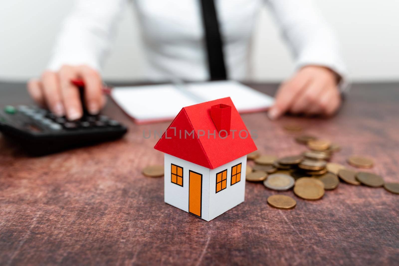 Lady Presenting New Home Savings Deals In Outfit, Business Woman Showing Possible Investment Oppurtiunities For New House, Mortegage Installments Exhibits For Recent Apartments Sales.