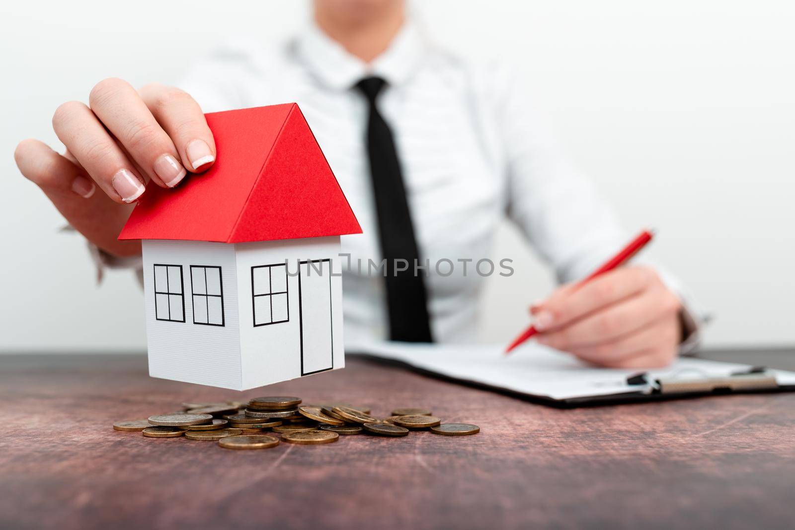 Lady Presenting New Home Savings Deals In Outfit, Business Woman Showing Possible Investment Oppurtiunities For New House, Mortegage Installments Exhibits For Recent Apartments Sales by nialowwa